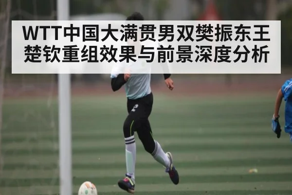 WTT中国大满贯男双樊振东王楚钦重组效果与前景深度分析